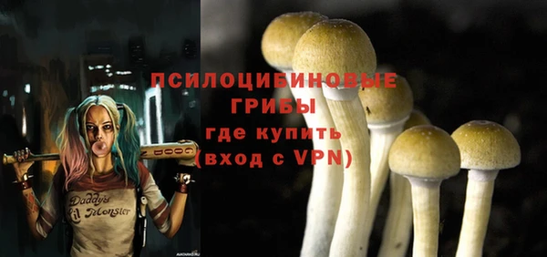 метадон Михайловск