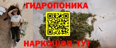 гашик Будённовск