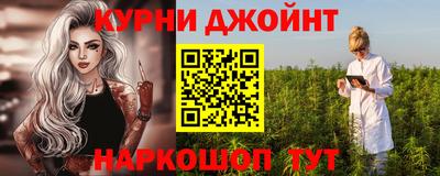 гашик Будённовск