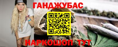 гашик Будённовск