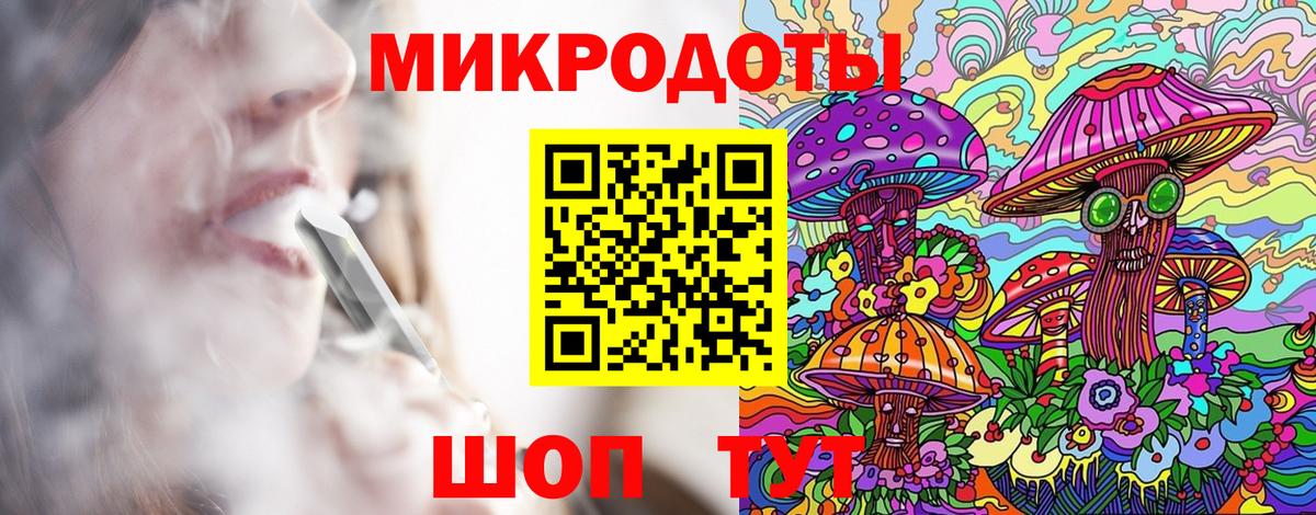 Галлюциногенные грибы Psilocybine cubensis Димитровград