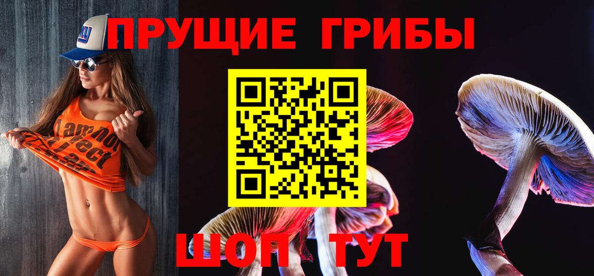 Димитровград  Псилоцибиновые грибы прущие грибы  Вход с VPN 