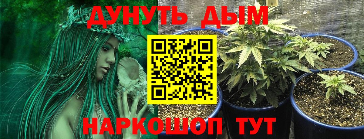 Конопля SATIVA & INDICA Димитровград